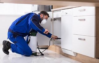 Pest Control Pest Service — Exterminator Spraying Pesticide in Lexington, SC
