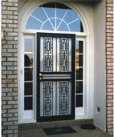 Storm door