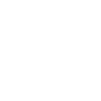 Phone-Icon