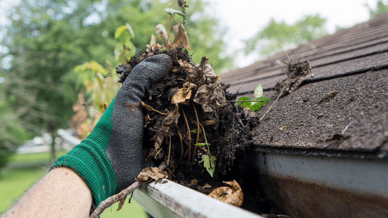 clean out the gutters
