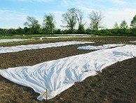 Winter / Frost Protection Blankets