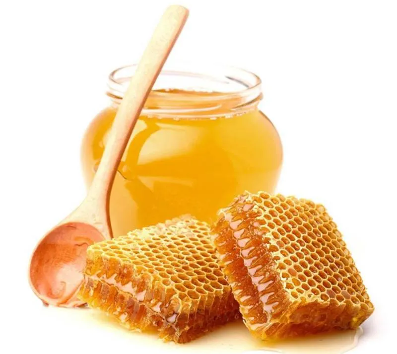 Vendita di piante da esterno