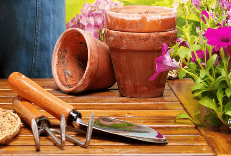 Cura del giardino