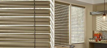 Hunter Douglas Reveal