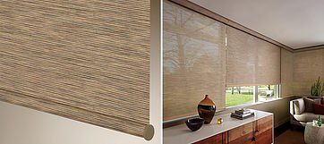 Hunter Douglas Screen Shades