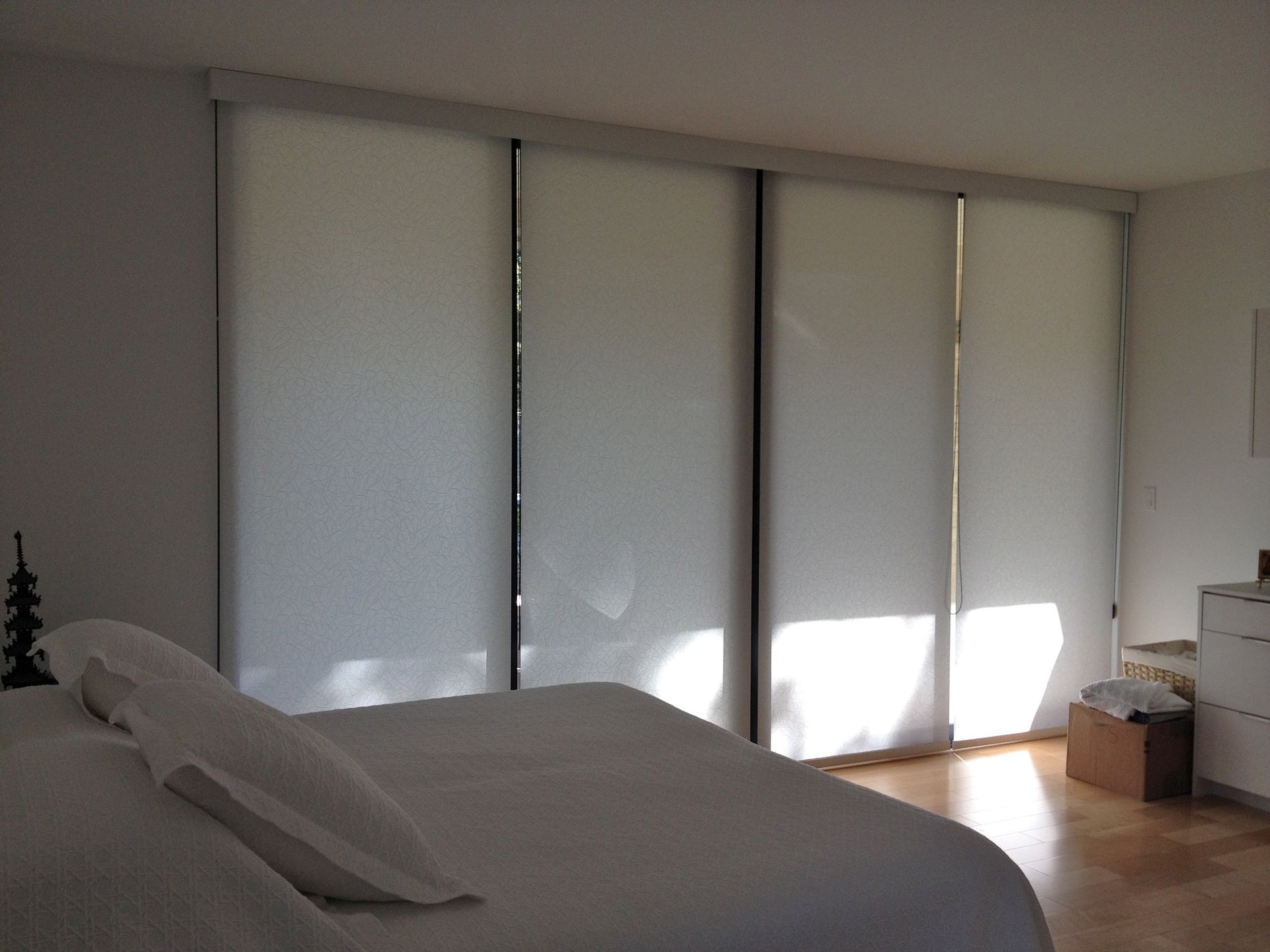 Hunter Douglas Blinds