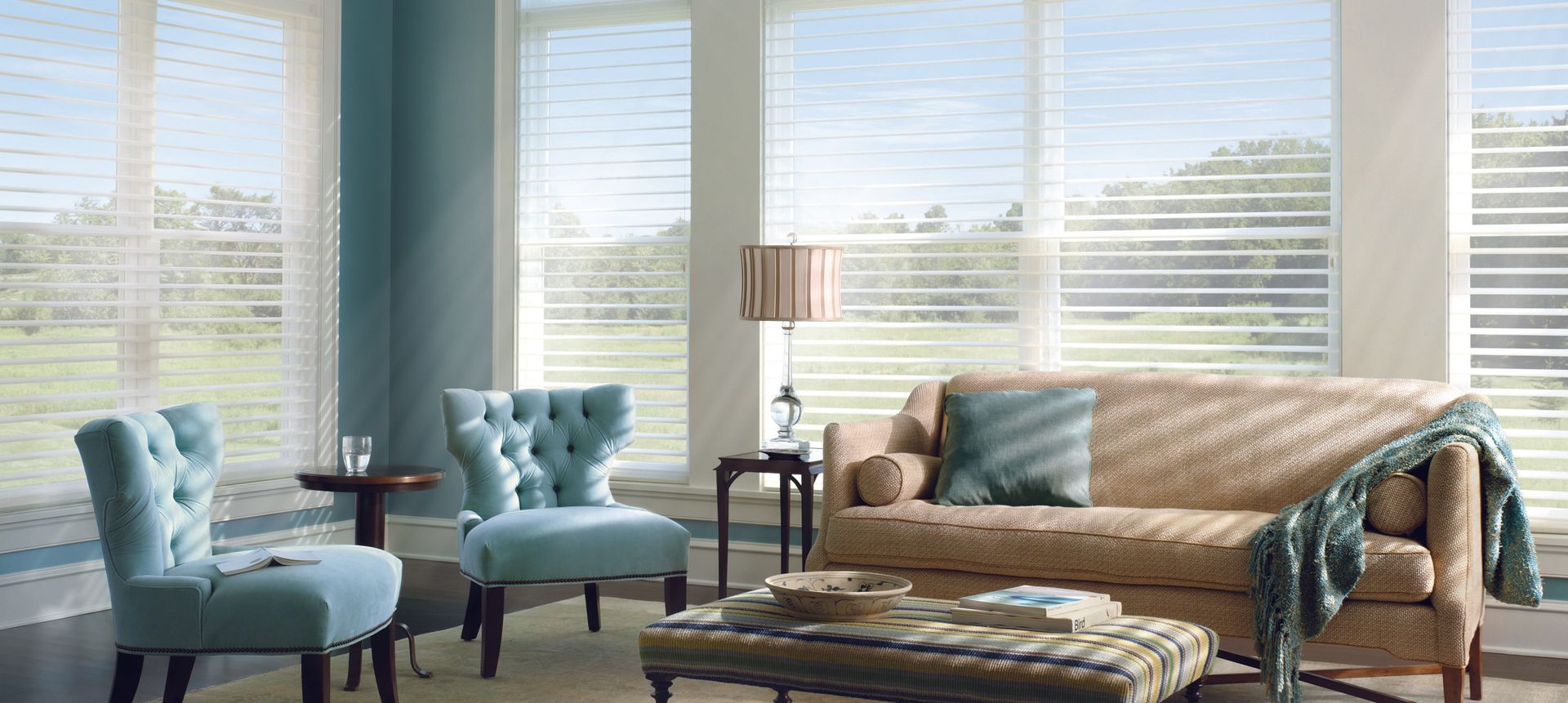 Hunter Douglas Blinds