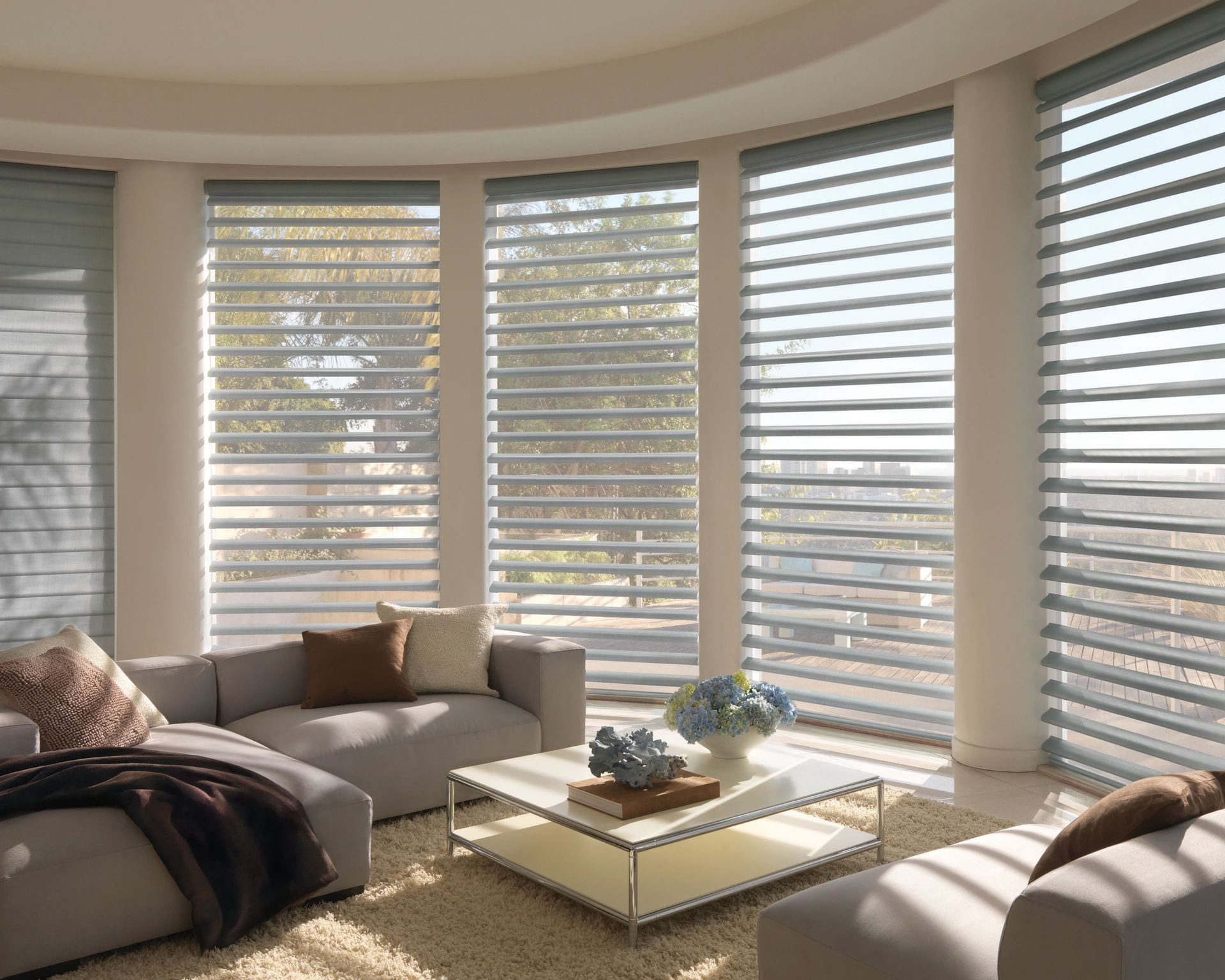 Hunter Douglas Blinds