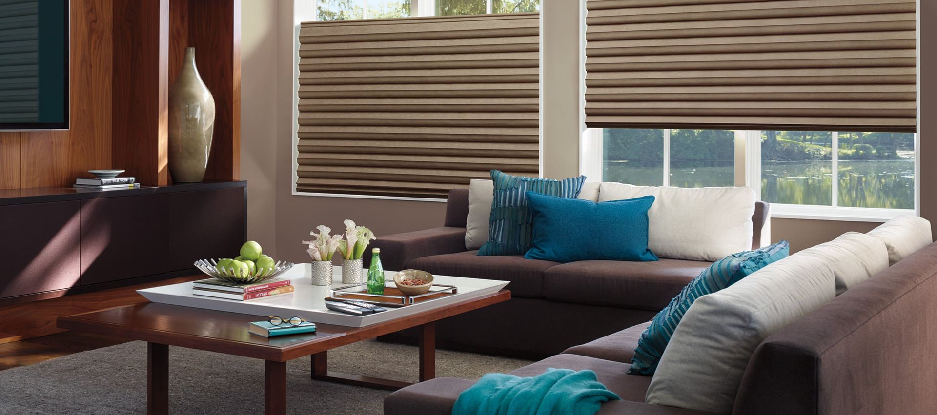 Hunter Douglas Blinds
