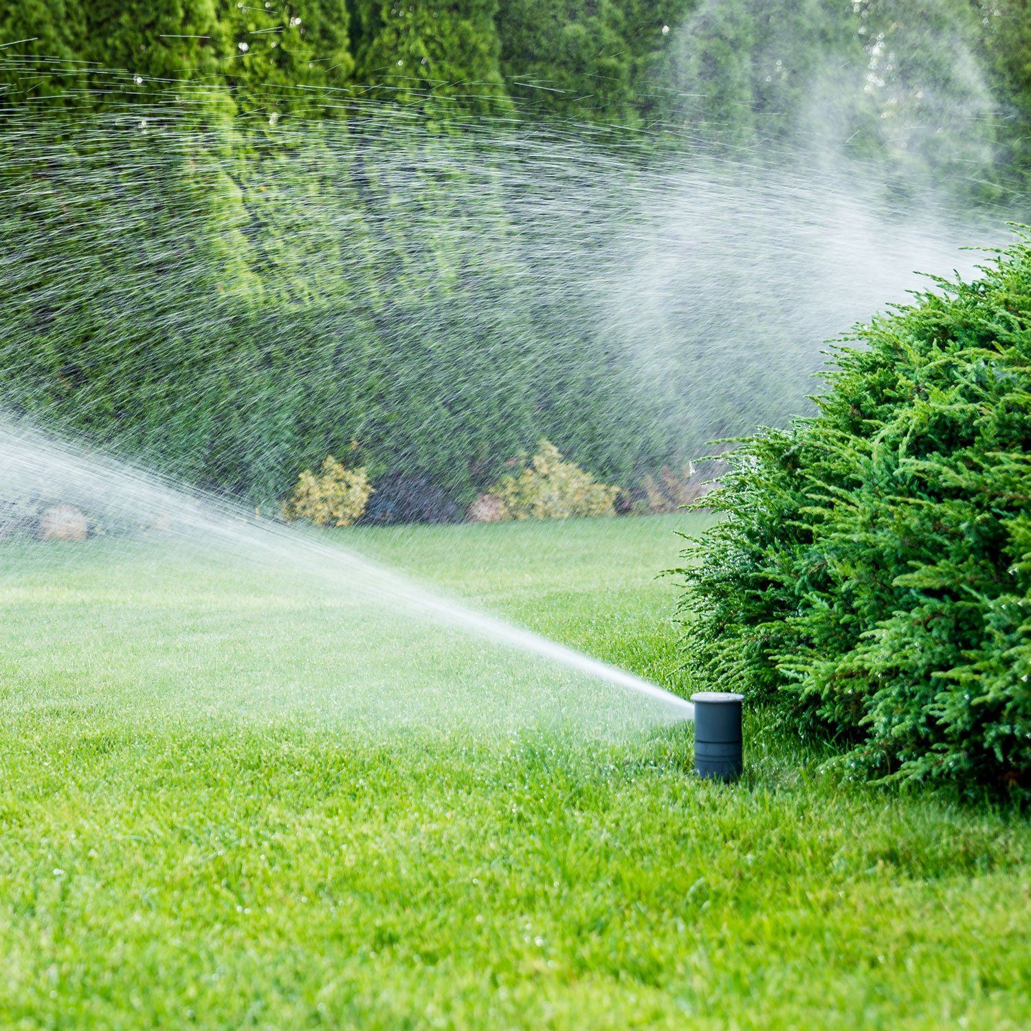 Push Mower — Bird in Hand, PA — Operation Green Law Push Mower — Bird in Hand, PA — Operation Green Law