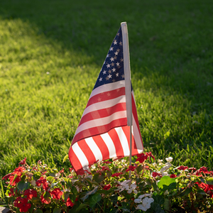 Fertilizing Lawn — Lancaster, Chest and Berks PA — Operation Green Lawn