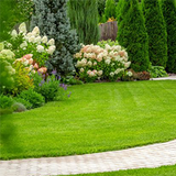 Lawn Care Lancaster, PA — Operation Green Lawn