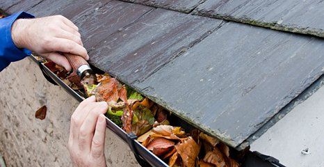 gutter cleaning