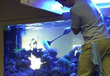 Aquarium Maintenance Plans