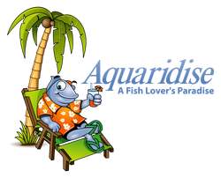 Aquaridise