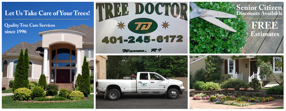 Beautiful House — Tree Services in Warren, Rhode Island