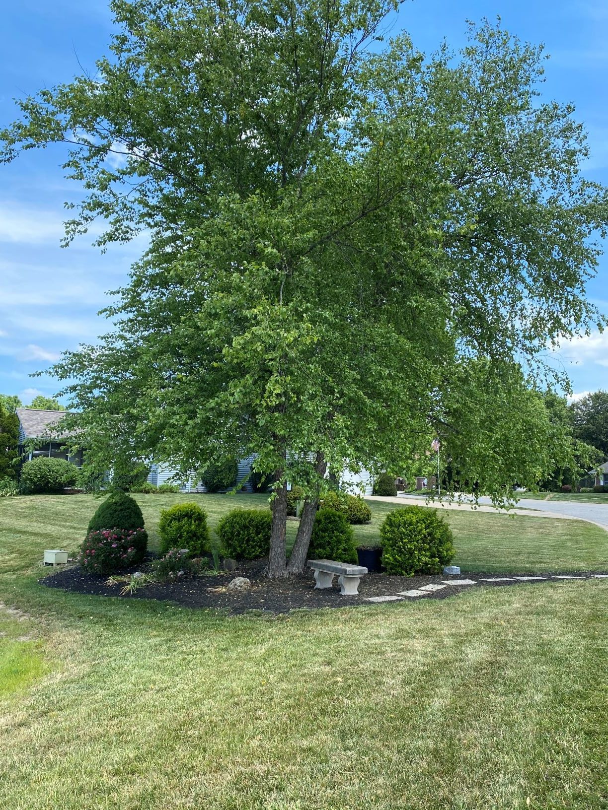 Sherbrooke Grounds