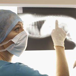 veterinary surgery