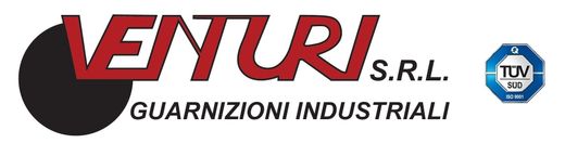 Venturi S.r.l. - LOGO