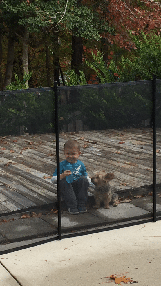 child safety pool fence