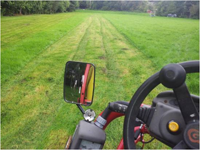 Lawn cutting - Welshpool, Powys - Leighton Garden Services - Gardener