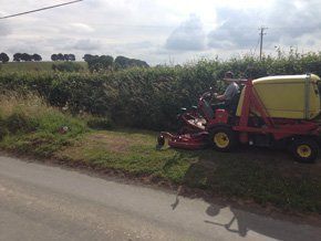 Grass cutting
