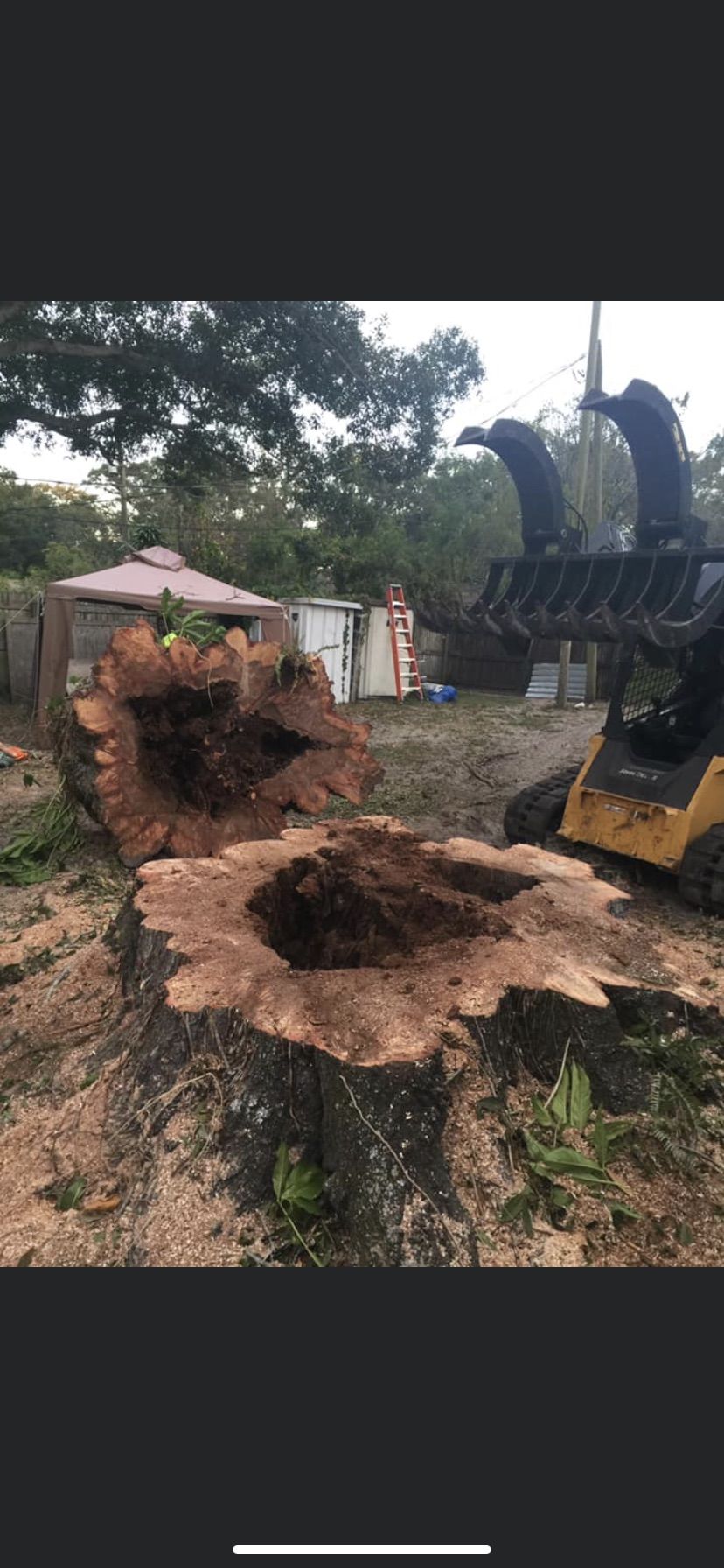 A large tree stump with a hollow center next to a skid steer with a claw. Backyard setting.