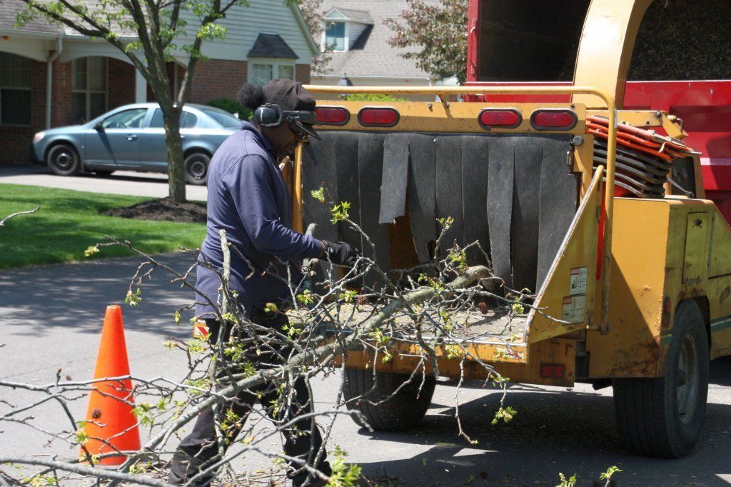 Tree Grinder — Westerville, OH — W. E. Miller Tree Service