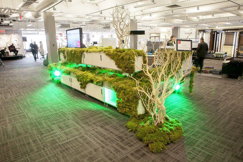 A room with a planter filled with moss and trees.