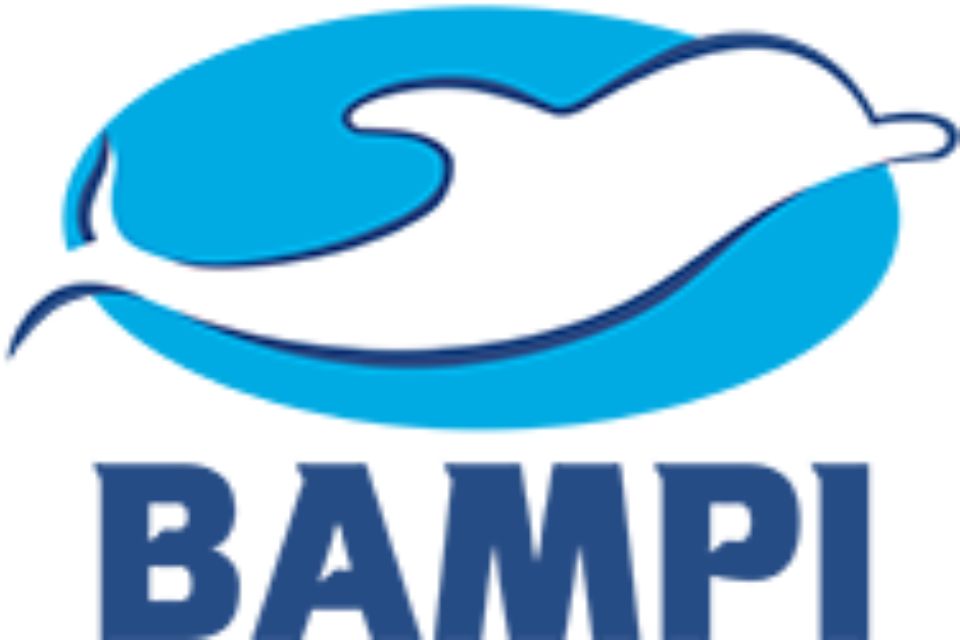 Bampi  logo