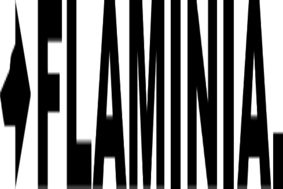 Flaminia logo