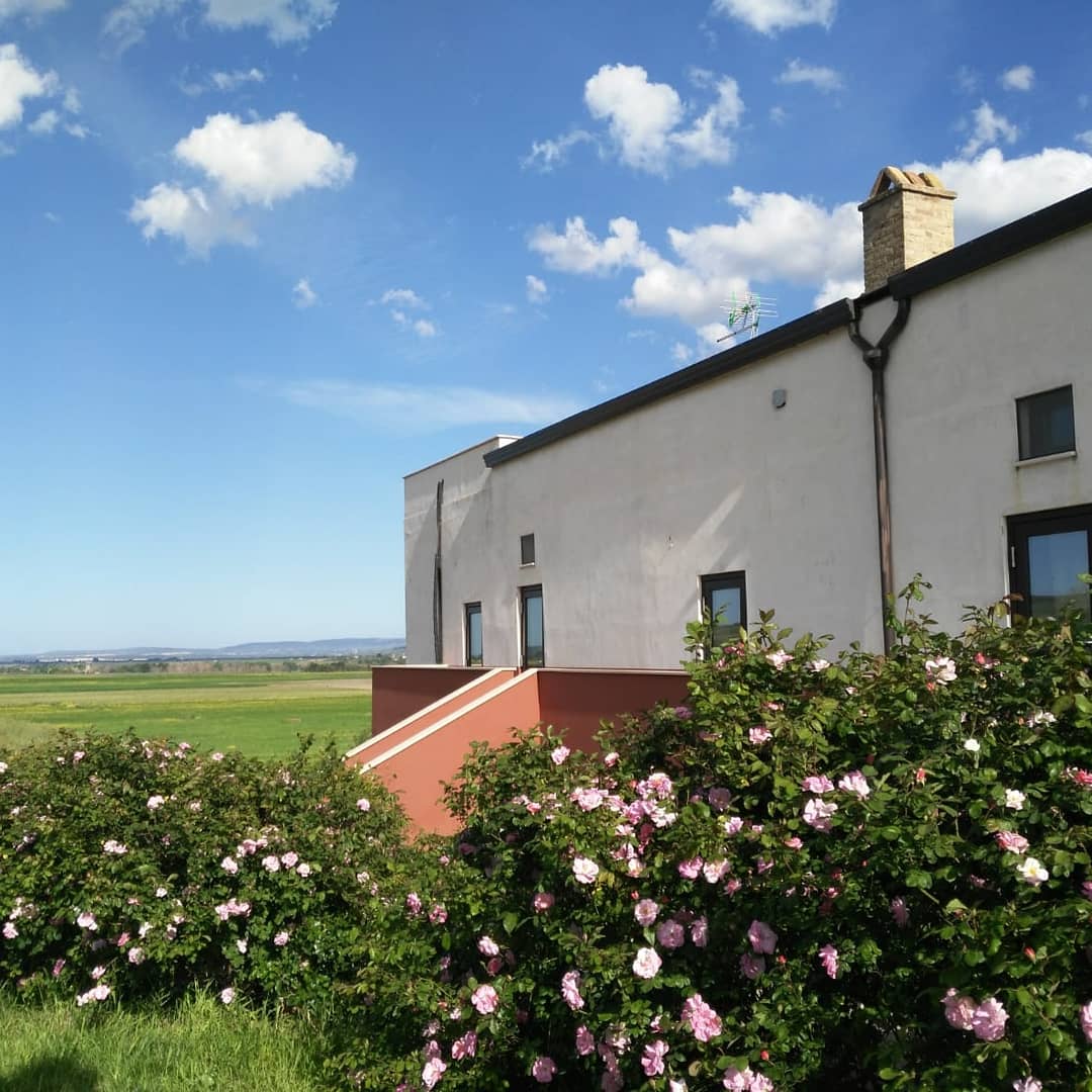 Offerta vacanze in agriturismo Puglia