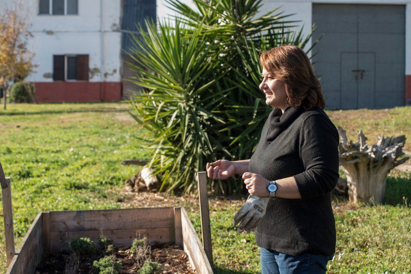 Gestione azienda agricola Gallo