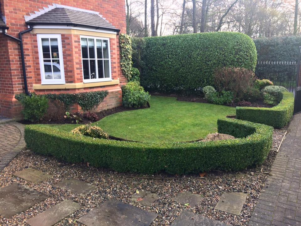 shaped shrubbery