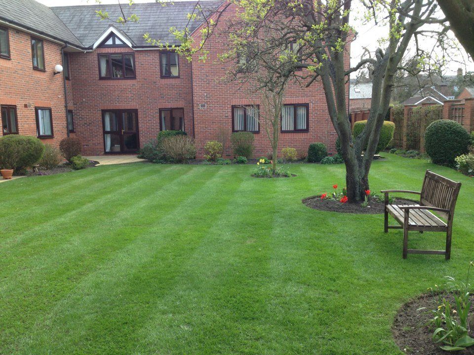 lawn maintenance
