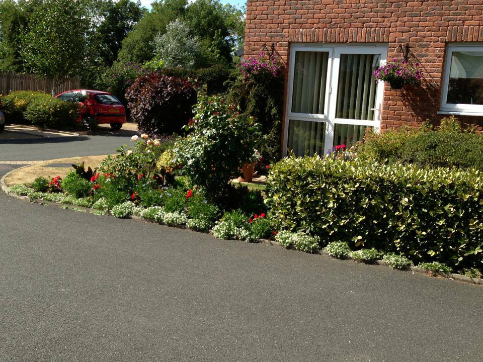 shrubs cut
