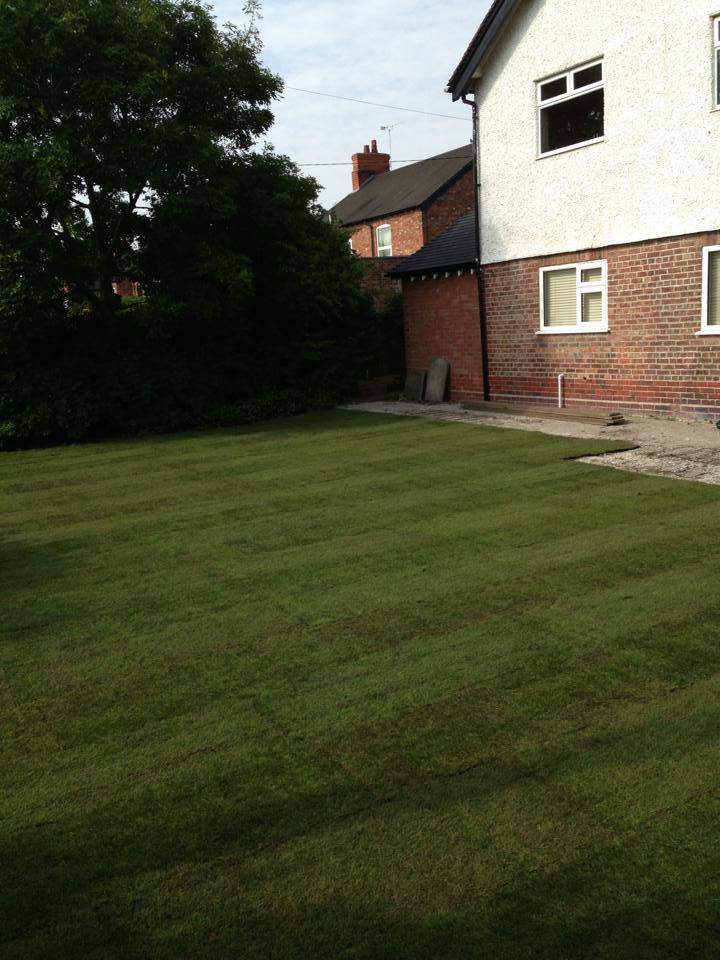 lawn mowed