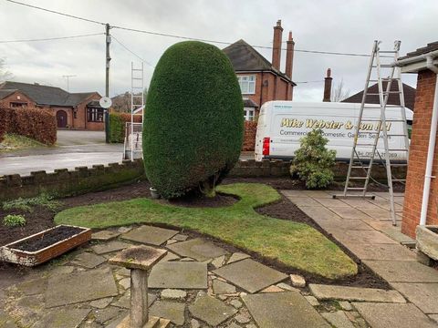 hedge cutting
