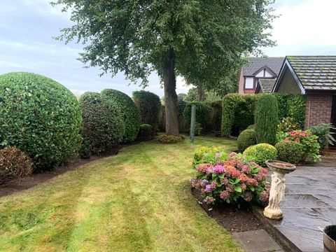 garden after maintenance work
