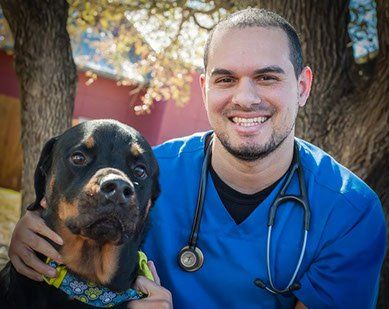 A man with a stethoscope around his neck is holding a dog.