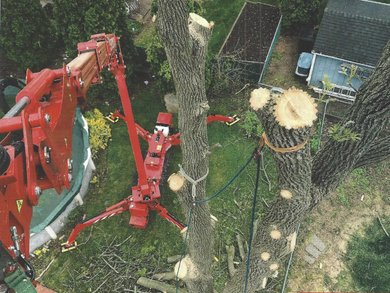 Man Removing Pile Of Snow — Tree Service in Homewood, IL