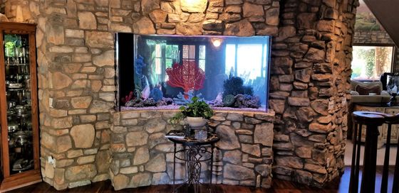 Customized Aquarium | Carlsbad, CA | Aquaman Aquarium Services