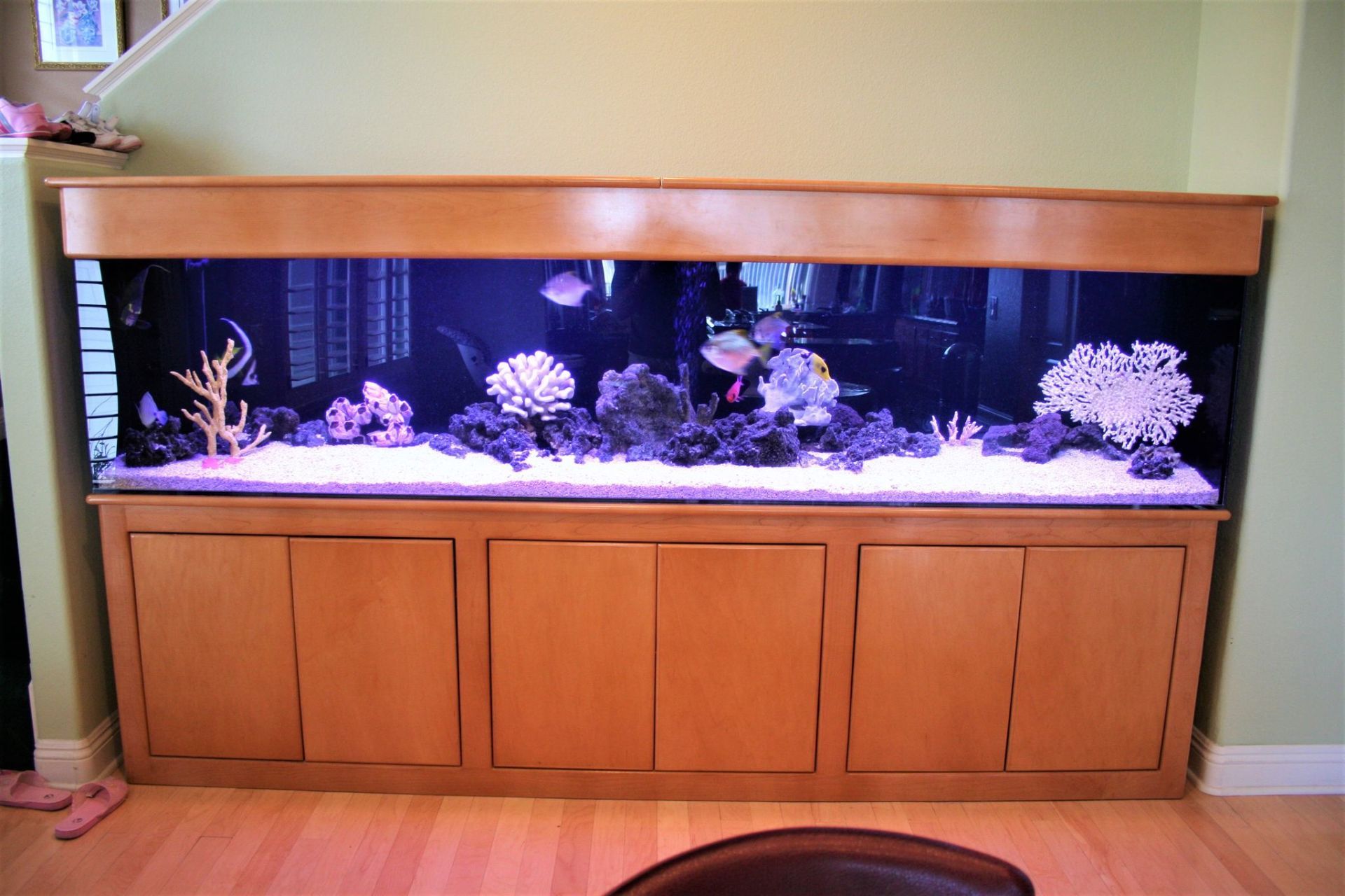 240 Gallon Saltwater Nook — Carlsbad, CA — Aquaman Aquarium Services