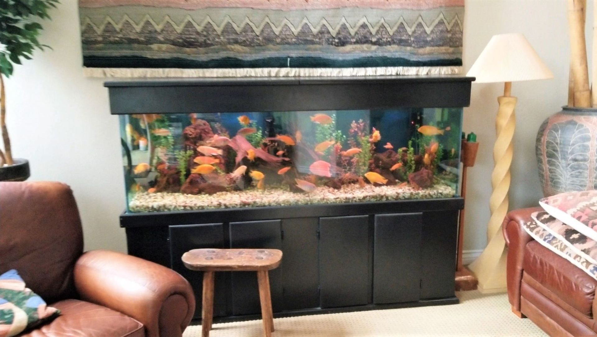 120 Gallon African Cichlids Standard — Carlsbad, CA — Aquaman Aquarium Services