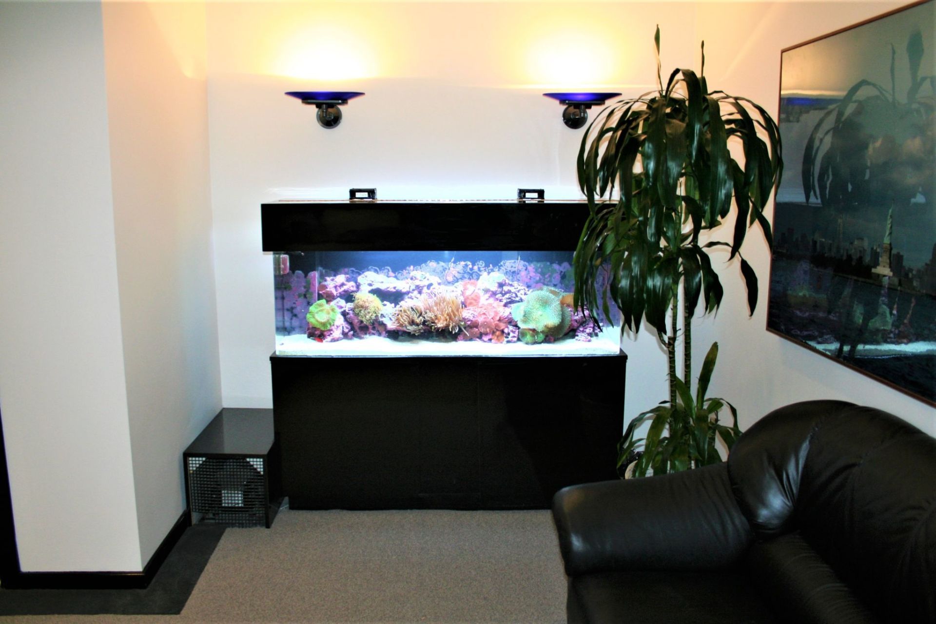 125 Gallon Mixed Reef — Carlsbad, CA — Aquaman Aquarium Services