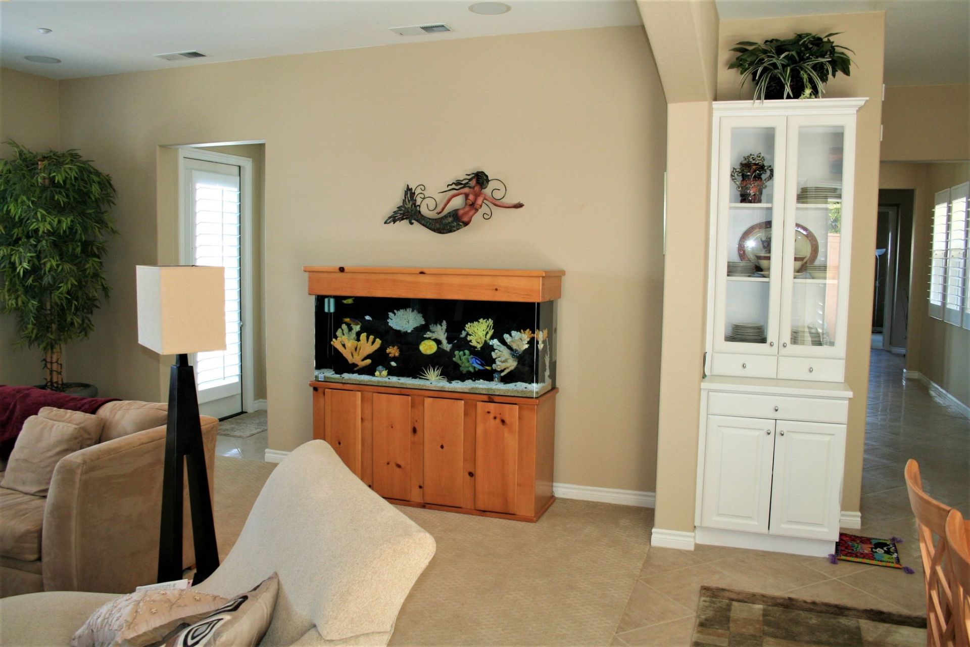 75 Gallon Saltwater Standard 2 — Carlsbad, CA — Aquaman Aquarium Services