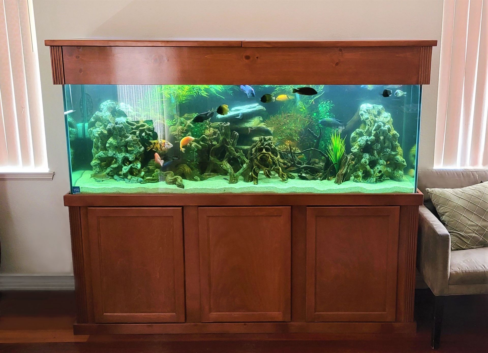 135 Gallon African Cichlid Standard Glass — Carlsbad, CA — Aquaman Aquarium Services