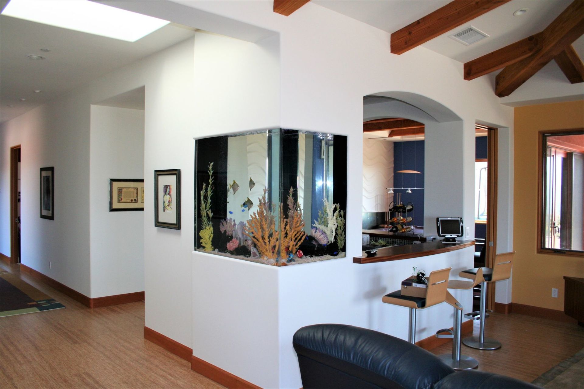 140 Gallon Saltwater Thru-Wall Ell-Shape Custom — Carlsbad, CA — Aquaman Aquarium Services