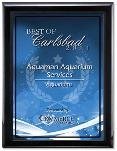 Aquaman Aquarium Services 2011 Award | Carlsbad, CA | Aquaman Aquarium Services Aquaman Aquarium Services 2011 Award | Carlsbad, CA | Aquaman Aquarium Services