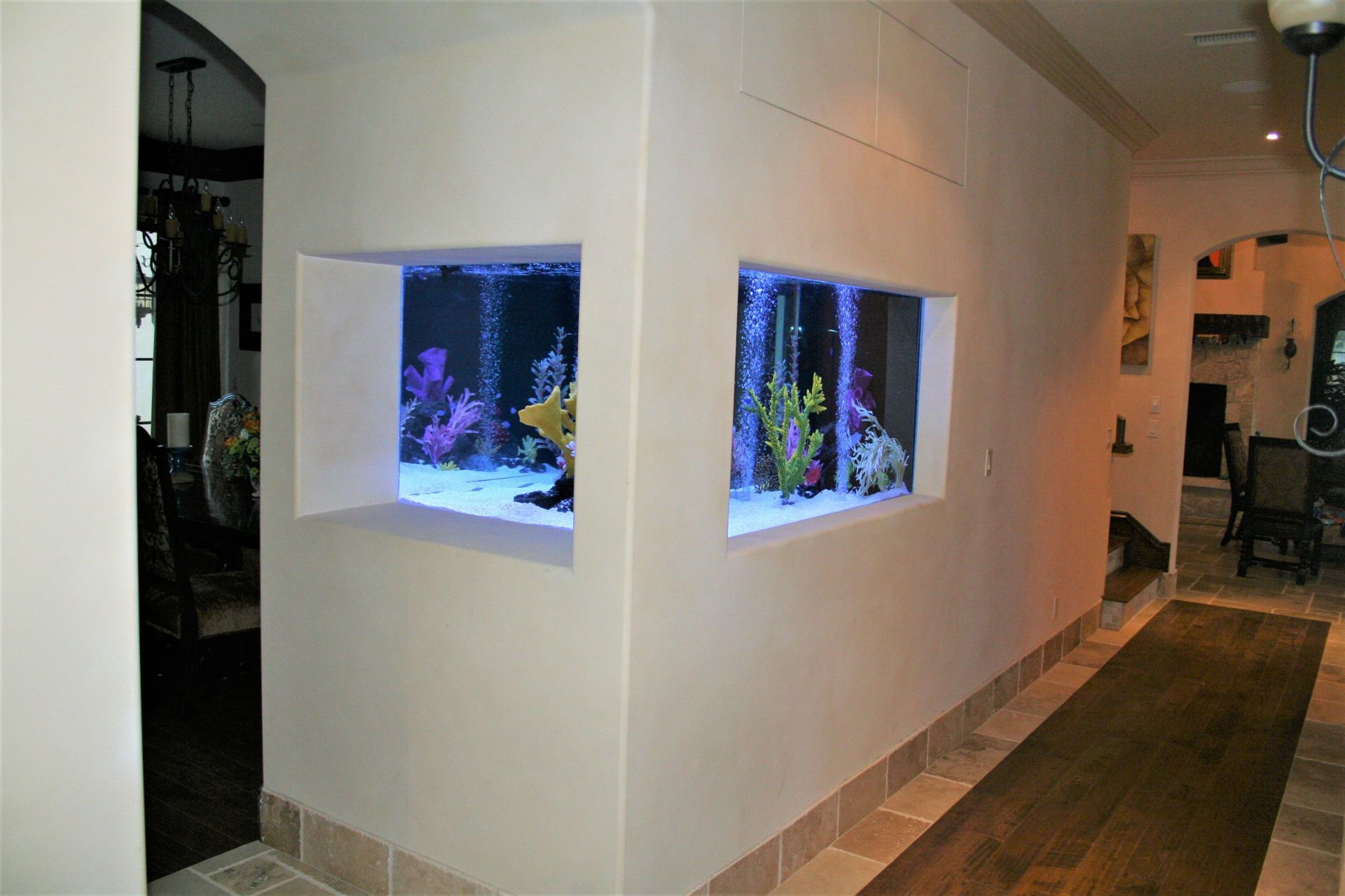 360 Gallon Saltwater Thru-Wall Custom (back & side) — Carlsbad, CA — Aquaman Aquarium Services